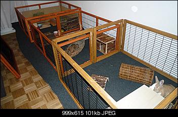 kaefig-reinigen-p1010472.jpg