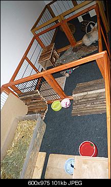 kaefig-reinigen-p1010473.jpg