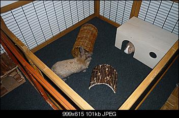 kaefig-reinigen-p1010477.jpg