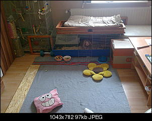 bounty-die-kleine-freche-a108-1-.jpg