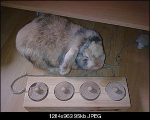 bounty-die-kleine-freche-a195.jpg