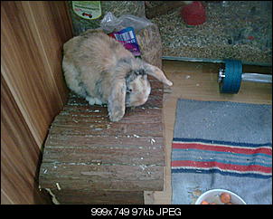 bounty-die-kleine-freche-a157.jpg