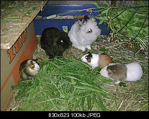 bounty-die-kleine-freche-a178-1-.jpg
