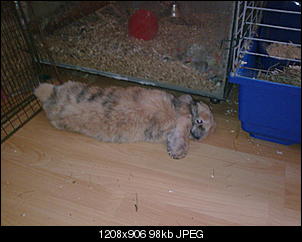 bounty-die-kleine-freche-a220-1-.jpg