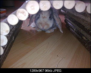bounty-die-kleine-freche-a203-1-.jpg
