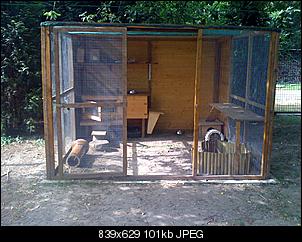 bau-meiner-kaninchenanlage-img_0248.jpg