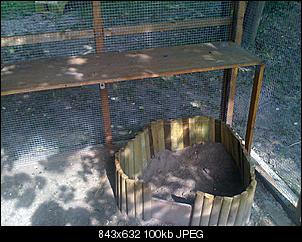 bau-meiner-kaninchenanlage-img_0250.jpg