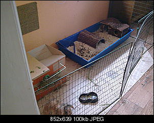 babyalarm-a256-3-.jpg