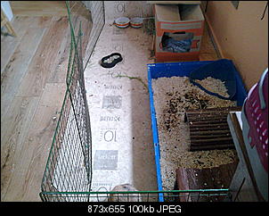 babyalarm-a257-1-.jpg