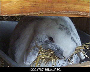 nestbau-zahnschmerzen-100_6516.jpg