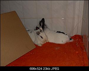neuzugang-durchfall-oder-stress-sdc15445.jpg