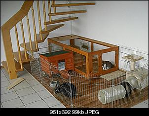 innengehege-meiner-ninchen-neue-20wohnung-20027-1-.jpg