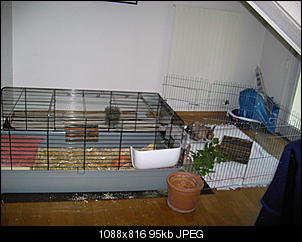 das-innengehege-von-schnueffi-susi-susi-2-007.jpg