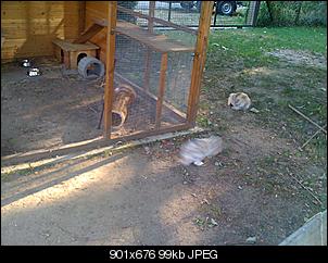 unser-neuer-stall-img_0321.jpg