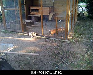 unser-neuer-stall-img_0320.jpg