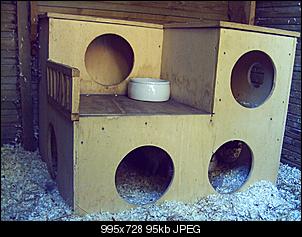 haus-fuer-meine-kaninchen-jd310019.jpg