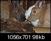 laura-klopfer-unserer-grosse-liebe-p1010433.jpg