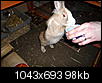 laura-klopfer-unserer-grosse-liebe-p1010443.jpg