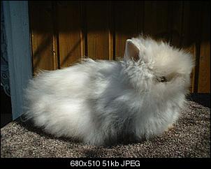 hallo-teddyzally4091.jpg