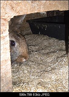 frieda-ist-eingezogen-dscn3780.jpg