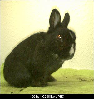 neu-hier-pict0012.jpg