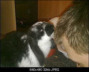 neue-bilder-von-meiene-drei-suessen-jenyn-foto-2-263.jpg