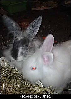 neue-bilder-von-meiene-drei-suessen-jenyn-foto-2-312.jpg