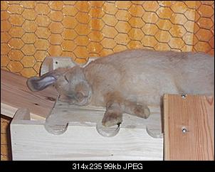 trixie-rocco-stellen-sich-vor-cimg1270.jpg