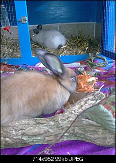 me-my-hoppels-bild0214.jpg