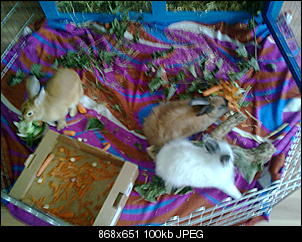 me-my-hoppels-bild0213.jpg