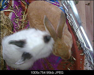 me-my-hoppels-bild0220.jpg