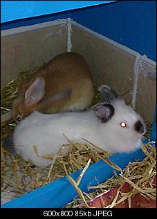 me-my-hoppels-bild0218.jpg