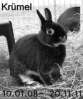 Benutzerbild von *Kr�mel*