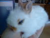 Benutzerbild von Amanda