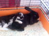 Benutzerbild von Amy