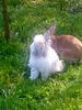 Benutzerbild von Becky93