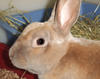 Benutzerbild von DoodleBug