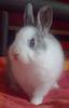Benutzerbild von Emily93