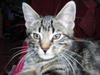 Benutzerbild von Eowyn
