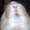 Benutzerbild von Fea