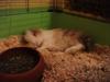 Benutzerbild von flo