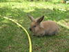 Benutzerbild von Happy Friend
