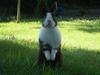 Benutzerbild von heidifine