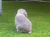 Benutzerbild von Hello.Jenny