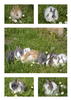 Benutzerbild von Hoppelbande
