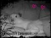 Benutzerbild von ily-kr�mmel
