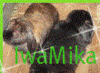 Benutzerbild von IwaMika