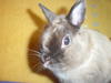 Benutzerbild von janina1122