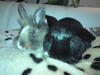 Benutzerbild von Jessy