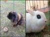 Benutzerbild von Kr�mel+Tinkerbelle